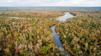 Honey Island Swamp Kayaking Tour
