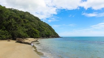3-Day Daintree Rainforest & Great Barrier Reef Tour