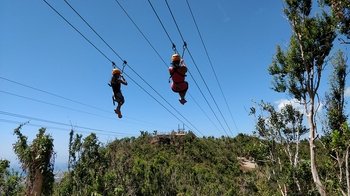 Sky Explorer, Sentry Hill Zip Line Tour