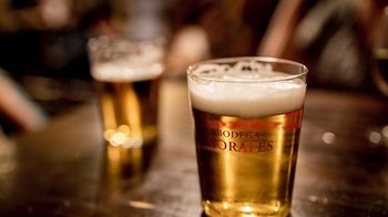 Osaka Pub Crawl with Drinks