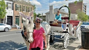 Private Guided Carriage Ride Through Fredericksburg