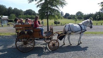 Nighttime Ghost Tour in a Horse-Drawn Carriage
