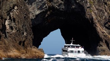 Bay of Islands Full-Day Tour with Cruise to Cape Brett & Lunch