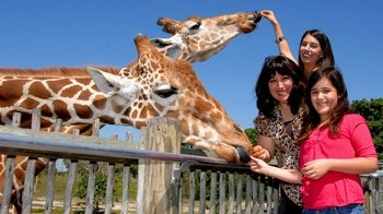 Zoo Miami Tickets