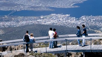 Mount Wellington Tour with MONA Admission & Ferry
