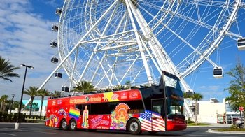 Hop-On Hop-Off Bus Tour
