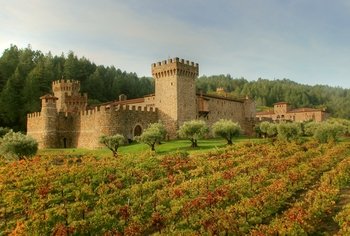 Small-Group Napa Wine Tour with Castello Di Amorosa & Lunch