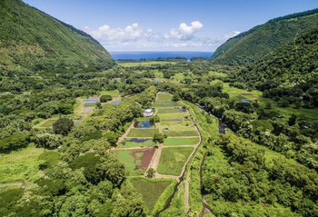 3 Hour Waipio Valley ATV, Waterfall, and Cultural Experience