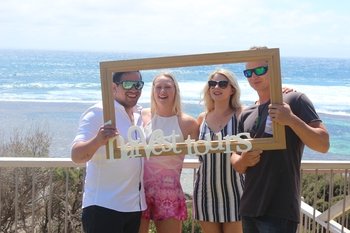Harvest Full Day Wine Tour