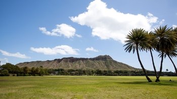 Diamond Head State Monument Packages
