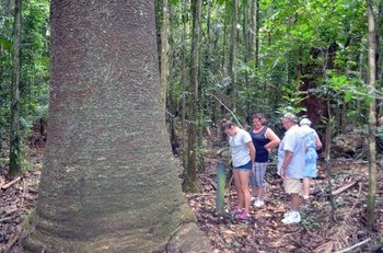 Nature's Majesty behind Queensland's Sunshine Coast