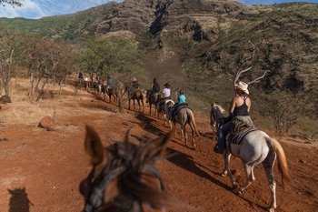 West Oahu Horseback Adventure
