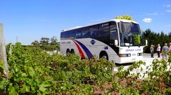 Grand Barossa Valley Day Tour with Hahndorf from Adelaide