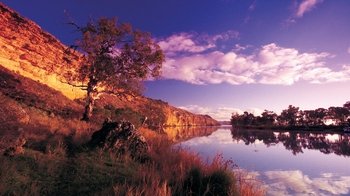 Murray River Cruise & Day Tour with Lunch