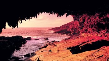 Full-Day Kangaroo Island Experience from Adelaide