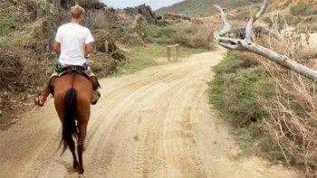Horseback Riding Tour to Andicuri Beach