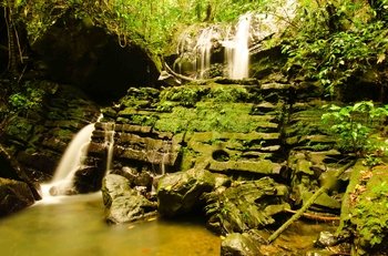 El Yunque National Forest Tour