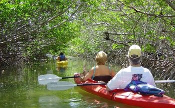 Bioluminescent Bay Kayak Adventure Tour