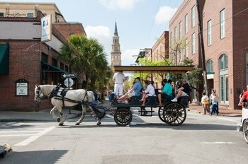 Carriage Tour of Historic Charleston