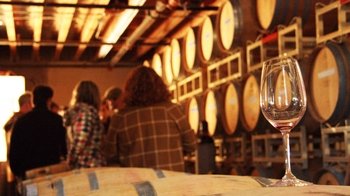 Snoqualmie Falls & Woodinville Winetasting Tour with Lunch