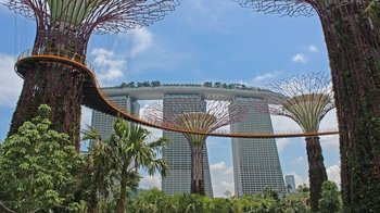Sustainable Singapore Eco Tour