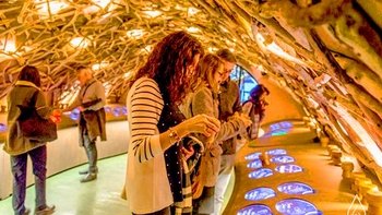 Les Caves du Louvres Self-Guided Tour with Winetasting