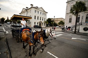 Evening Carriage Tour of Historic Charleston