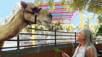 Zoo Miami Safari Package with Monorail & Animal Feeding