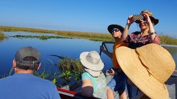 Everglades National Park Nature Walk with a Naturalist & Air Boat Ride