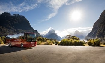 Milford Sound Coach & Nature Cruise with Buffet Lunch