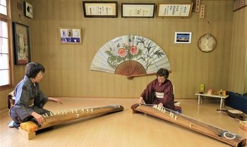 Enjoy Playing the Japanese Harp (Koto) in a Kimono