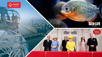 Billet London Big - London Eye, Madame Tussauds et SEA LIFE