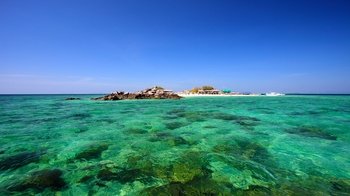 Koh Maiton & Koh Phi Phi by Speedboat with Dolphin Sighting