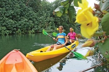 3-Hour Scenic Paddle & Hawaiian Village Tour
