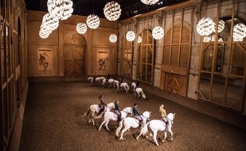 Spectacle équestre de Bartabas « La Voie de l'écuyer » à Versailles