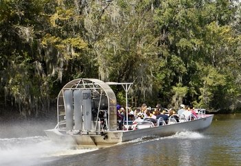 Airboat Adventures: Airboat Swamp Tour