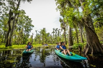 Manchac Magic A Local Guided Kayaking Swamp Tour