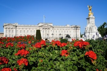Palaces & Parliament. 3hr walking tour of Westminster!
