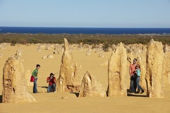 1 Day Pinnacles, Wildlife & Sandboarding