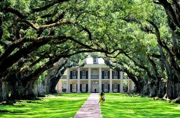 Customizable Plantation & optional Swamp Tour