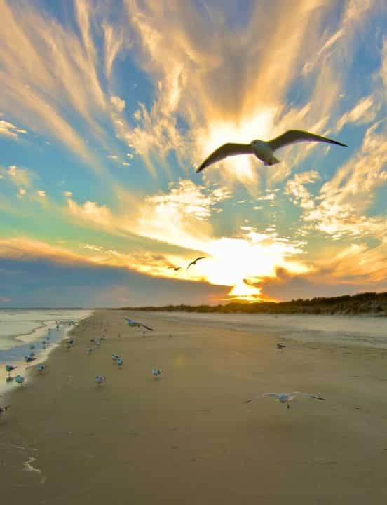 Travel Deals Find Cheap Deals On Travel Trips Tours