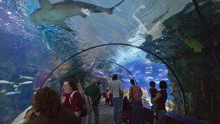 People Pictures View Images Of Henry Doorly Zoo Aquarium