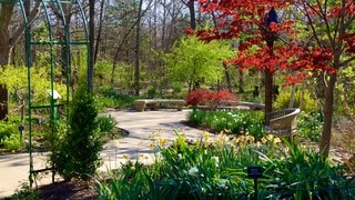 Kansas City Botanical Gardens >> Gardens Parks Pictures View Images Of Overland Park Kansas City Botanical Gardens >> Gardens Parks Pictures View Images Of Overland Park