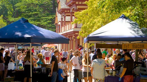 Christchurch featuring markets as well as a large group of people