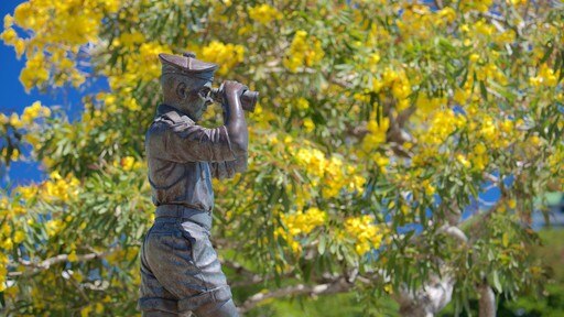 Noumea som viser statue eller skulptur