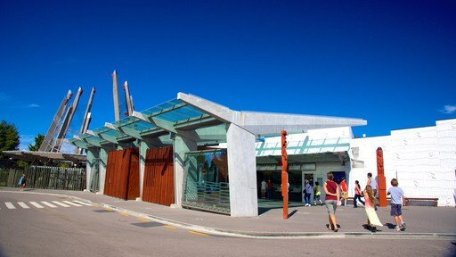 สถาบันศิลปะและหัตถกรรม Te Puia New Zealand Maori ตลอดจน คนกลุ่มเล็ก