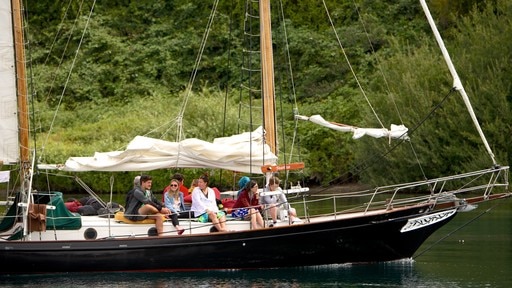 Taupo showing sailing as well as a small group of people