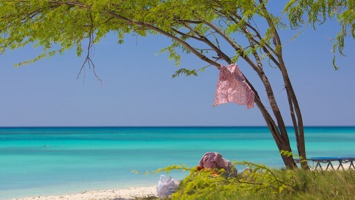 Aruba que incluye una playa de arena