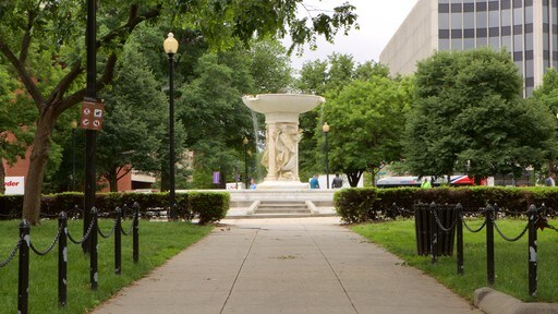 Downtown Washington D.C. which includes a fountain and a park