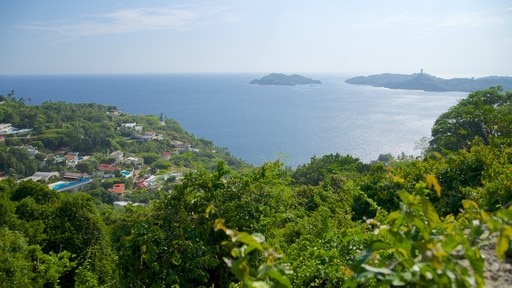 Acapulco mostrando una localidad costera, vistas panorámicas y vistas de una costa